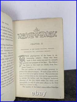 1847 The Hors and His Rider orSketches Anecdotes Old Rare Vintage Antique Book