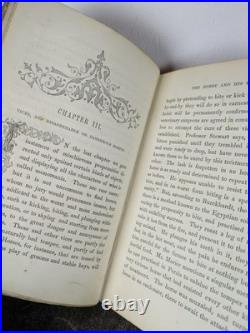 1847 The Hors and His Rider orSketches Anecdotes Old Rare Vintage Antique Book