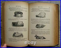 1883 ANTIQUE COOKBOOK Vintage Cookery Home Farm How-To DOMESTIC Mrs. Beeton RARE