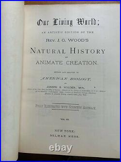 1885 antique 3 BOOK LOT Animate Creation Our Living World animal vtg plate print