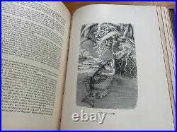 1885 antique 3 BOOK LOT Animate Creation Our Living World animal vtg plate print