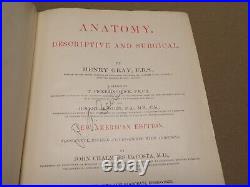 1905 Vintage Gray's Anatomy, De Costa, Antique Medical Book, 1132 Pictures
