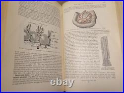1905 Vintage Gray's Anatomy, De Costa, Antique Medical Book, 1132 Pictures