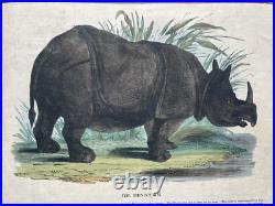 23 Original antique vintage 1840 JOSIAH WHYMPER Animal Fish Bird woodcut prints