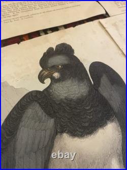 23 Original antique vintage 1840 JOSIAH WHYMPER Animal Fish Bird woodcut prints