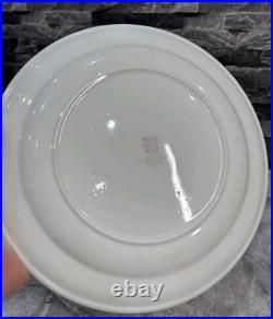 6 Vintage Possibly Antique Steelite Plates English Hotelware 27cm Heavy Thick