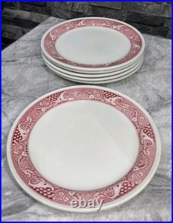 6 Vintage Possibly Antique Steelite Plates English Hotelware 27cm Heavy Thick