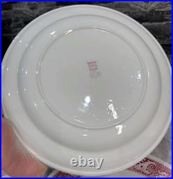 6 Vintage Possibly Antique Steelite Plates English Hotelware 27cm Heavy Thick