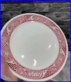 6 Vintage Possibly Antique Steelite Plates English Hotelware 27cm Heavy Thick