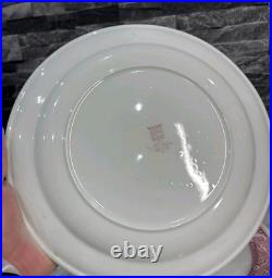 6 Vintage Possibly Antique Steelite Plates English Hotelware 27cm Heavy Thick