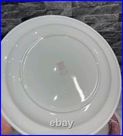 6 Vintage Possibly Antique Steelite Plates English Hotelware 27cm Heavy Thick