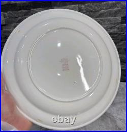 6 Vintage Possibly Antique Steelite Plates English Hotelware 27cm Heavy Thick