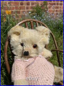 Alma 11 c1930's Fluffy Bear Loved Old Antique English Teddy in clothes