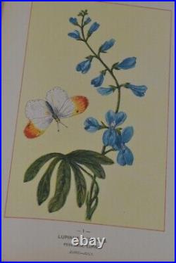 Antique 1894 Botanical Fine Art Weekly bound book editon of weekly 12 x 8 x 1