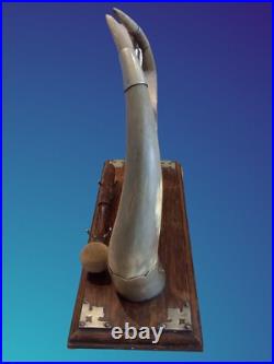 Antique Edwardian English Dinner Gong Horn Brass Oak Plinth Brass/ Gold Vintage