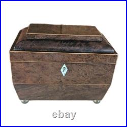Antique English Burlwood Sarcophagus Tea Caddy Inside Lids Regency