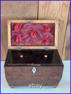 Antique English Burlwood Sarcophagus Tea Caddy Inside Lids Regency