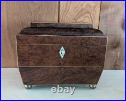 Antique English Burlwood Sarcophagus Tea Caddy Inside Lids Regency