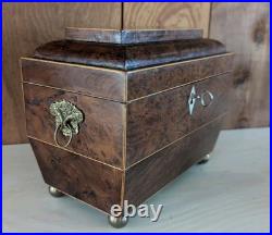 Antique English Burlwood Sarcophagus Tea Caddy Inside Lids Regency