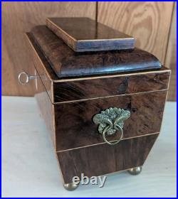 Antique English Burlwood Sarcophagus Tea Caddy Inside Lids Regency