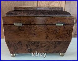 Antique English Burlwood Sarcophagus Tea Caddy Inside Lids Regency