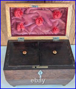 Antique English Burlwood Sarcophagus Tea Caddy Inside Lids Regency