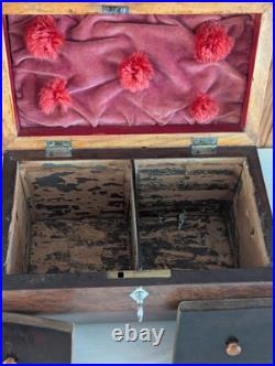 Antique English Burlwood Sarcophagus Tea Caddy Inside Lids Regency
