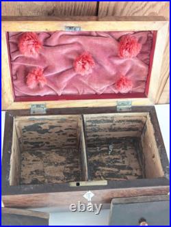 Antique English Burlwood Sarcophagus Tea Caddy Inside Lids Regency