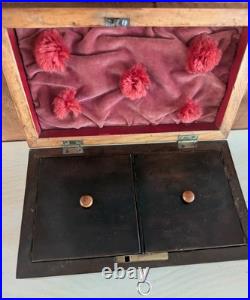 Antique English Burlwood Sarcophagus Tea Caddy Inside Lids Regency