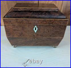 Antique English Burlwood Sarcophagus Tea Caddy Inside Lids Regency