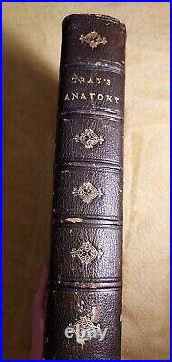 Antique Rare Vintage'Gray's Anatomy Descriptive and Surgical' 3rd Edition 1864