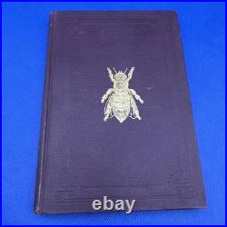 Antique Scientific Queen Bearing by G. M. Doolittle dated 1889 Very Rare