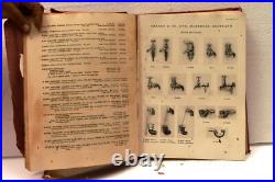 Antique Shanks 1923 Sanitary Fittings Trade Catalogue Barrhead Scottland Collect