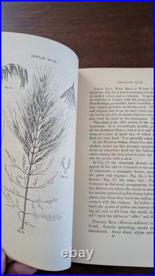 Antique Vintage Book Lot 6 Gardening and Horticultural Read Collect Share Resell