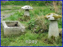 Antique Vintage Cornish TROUGH PLANTER Stone Architectural Garden STUNNING ITEM