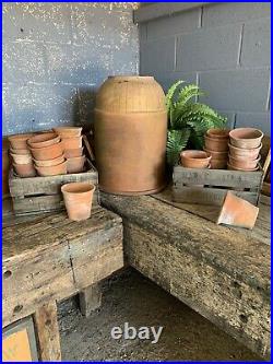 Antique Vintage LARGE Terracotta Rhubarb Forcer Garden Planter Cloche Reclaimed