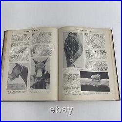 Antique Vintage Medical Book Veterinary Surgery Notes ER Frank 1950 Veterinarian