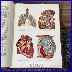 Antique Virtue's Household Physician 4 Vol Vintage Set Medical Books Illustrated