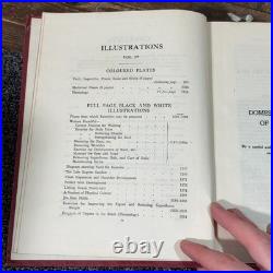Antique Virtue's Household Physician 4 Vol Vintage Set Medical Books Illustrated