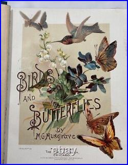 Birds & Butterflies M. G. Musgrave 1889 Antique Hardcover Gilded Edges