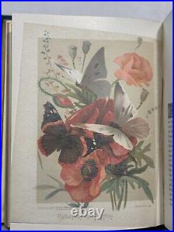 Birds & Butterflies M. G. Musgrave 1889 Antique Hardcover Gilded Edges