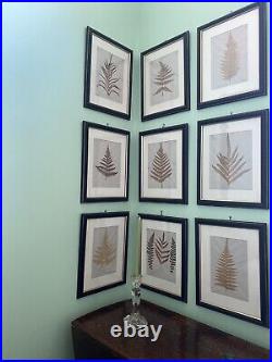 English Antique Or Vintage Pressed Foliage Botanical Art Custom Frames