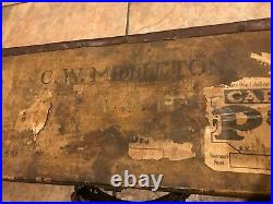 English Vintage Antique Gun Case