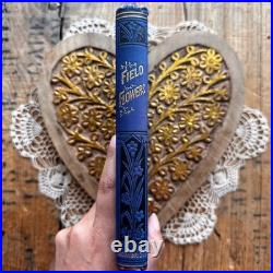 Field Flowers by Shirley Hibberd antique vintage book