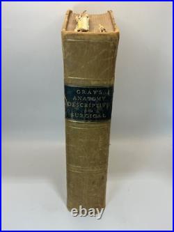 Gray's Anatomy, Descriptive and Surgical 1883 Antique Vintage Medical Ha