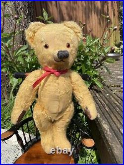 Mrs Pudding 14.5 c1950's Loved English Teddy Bear Old Antique Mohair Teddy