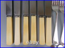 Old English Cutlery Set/Canteen. Silver Plated & Faux Bone. Spoons Forks. VTG