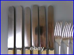 Old English Cutlery Set/Canteen. Silver Plated & Faux Bone. Spoons Forks. VTG