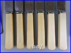 Old English Cutlery Set/Canteen. Silver Plated & Faux Bone. Spoons Forks. VTG