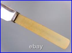 Old English Cutlery Set/Canteen. Silver Plated & Faux Bone. Spoons Forks. VTG